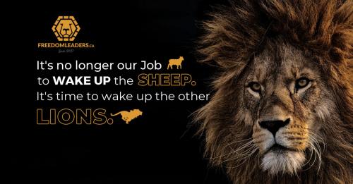 Sheep_Lion_Leader_1200x628