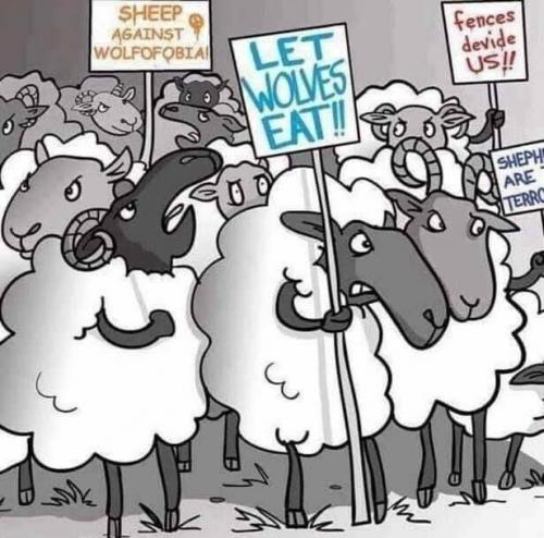 7A558CB2-CA0B-4EAA-89F9-49879216B5B7-43084-00002487F2695911