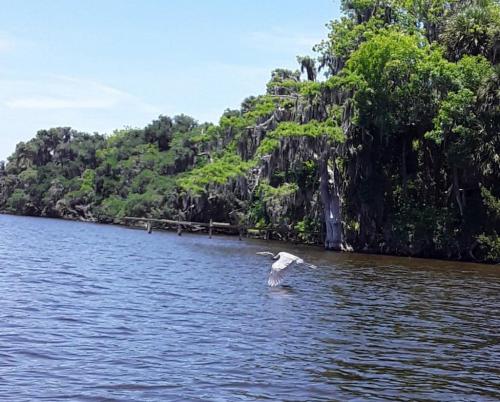 189991065_471578790836980_920749734105091762_n