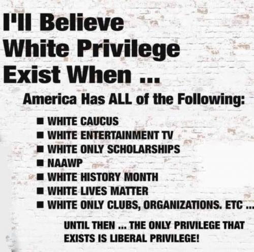 liberal privilege