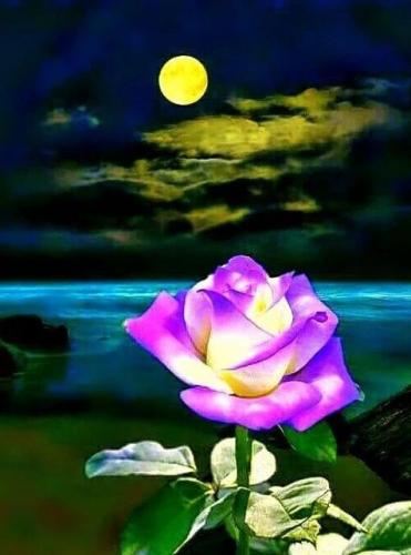 12:51:06 GMT-0500 (CDT)