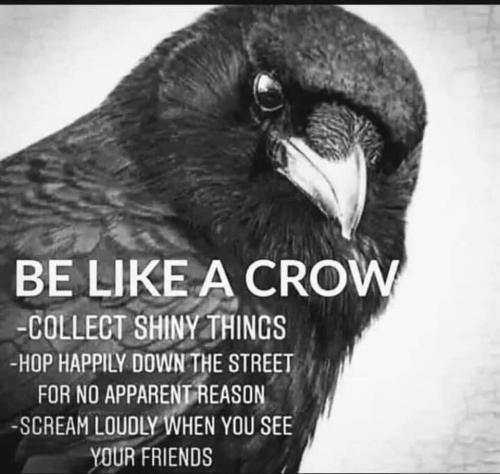 12:57:07 GMT-0500 (CDT)