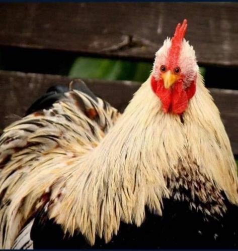 22:08:58 GMT-0400 (EDT)