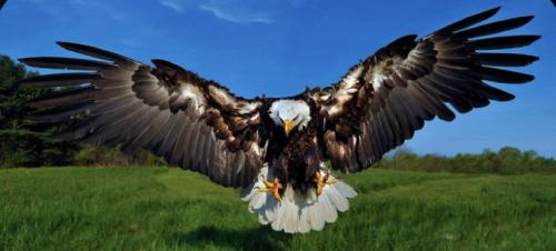 1571AD10-BDAE-4401-B7E8-25B50EB7194E