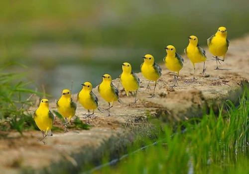 191292812_339093674260979_6417810360847013011_n