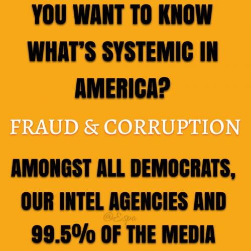 systemic fraud & corruption