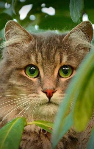 22:19:30 GMT-0500 (CDT)