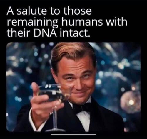 IMG_20210528_181820_520