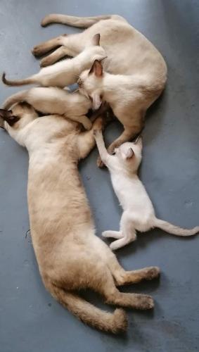 08:43:10 GMT-0500 (CDT)