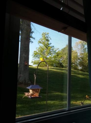 received_380919456520300