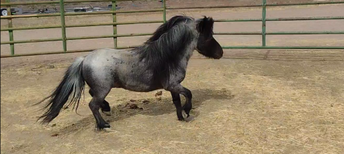 Screenshot_20210510-190427