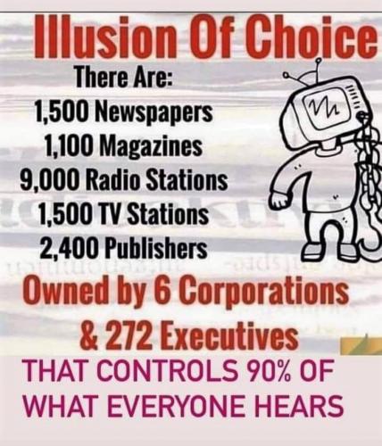 Illusion of Choice - MSM - meme