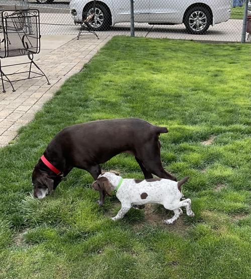 E593B4F2-CF69-4989-9480-CB8DCC9DD298