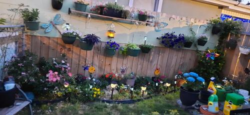 178558573_2284418421690086_5709315014152700633_n