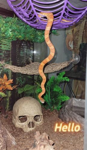 16:06:44 GMT-0400 (EDT)