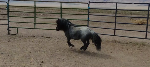 Screenshot_20210510-190548