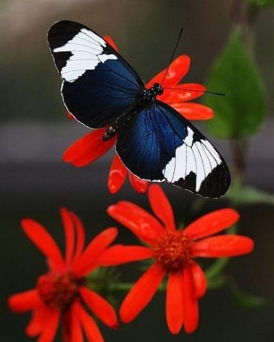 182881976_4062369993808871_3162682078207180300_n