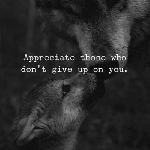 13:22:34 GMT-0500 (CDT)