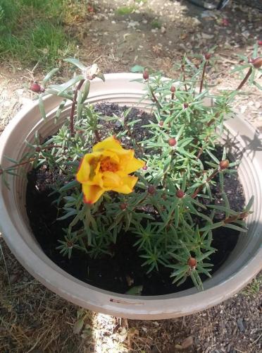 received_820468015255280