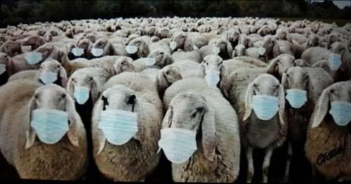 21:33:07 GMT-0500 (CDT)