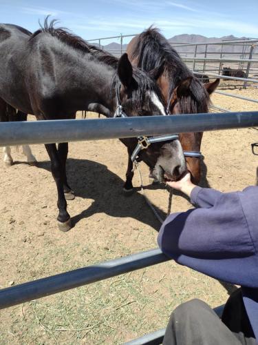 IMG_20210508_120748595