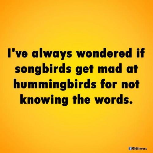 11:58:56 GMT-0400 (EDT)