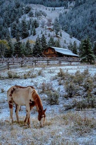 5a4fddc55b6a530d59510c88f82d68d7