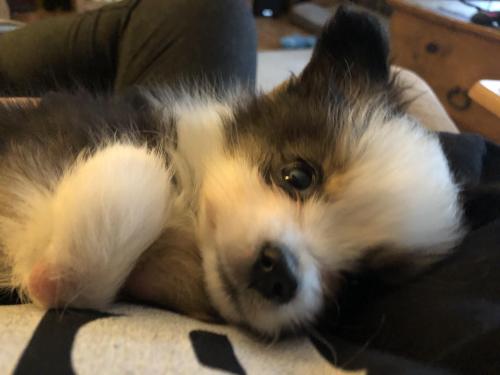 1CB9BEEA-1A1A-4DDA-BA27-9792FF30D412