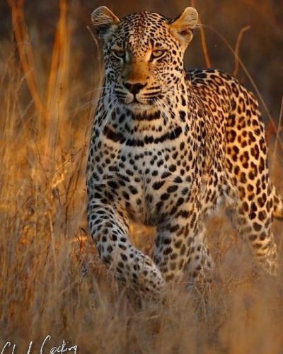 tumblr_f4fda90b81103b6656ca6cd734350cf9_ab03f23e_540