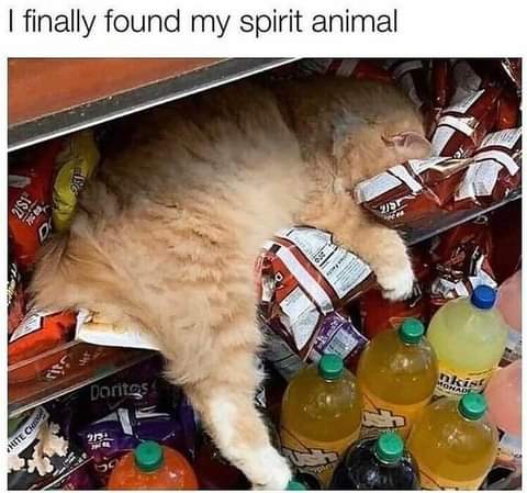 18:53:22 GMT-0700 (PDT)