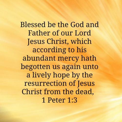 03:37:57 GMT-0400 (EDT)