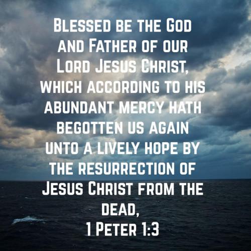 20:06:25 GMT-0500 (CDT)