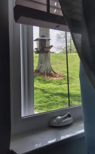 FB_IMG_1620683932896