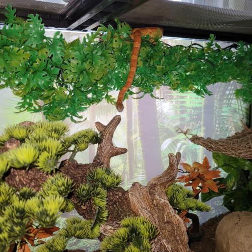 18:18:59 GMT-0400 (EDT)