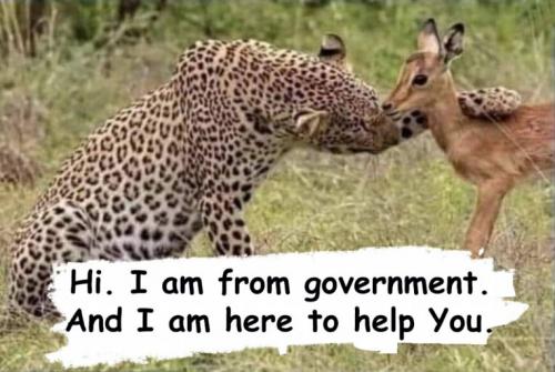 zgovernment83