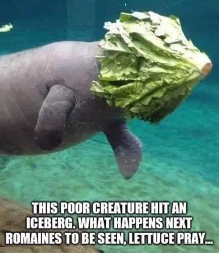 14:54:49 GMT-0700 (PDT)