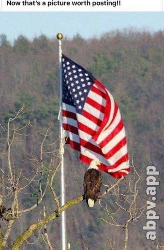 13:03:05 GMT-0400 (EDT)