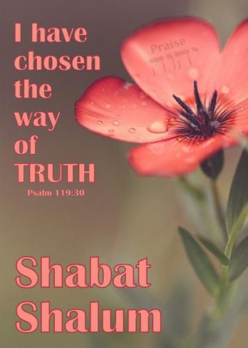 fb824f30933c87def44cb885a1784d39