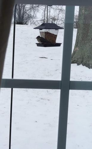 FB_IMG_1620683594097