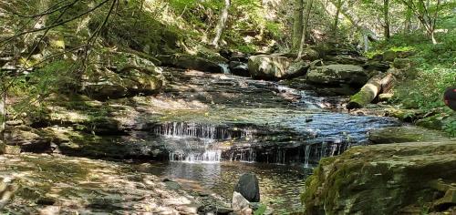 120027062_10223675240534975_4183754189876969190_n