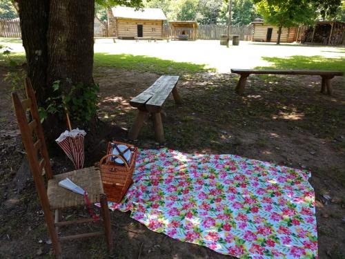 02:08:16 GMT-0400 (EDT)