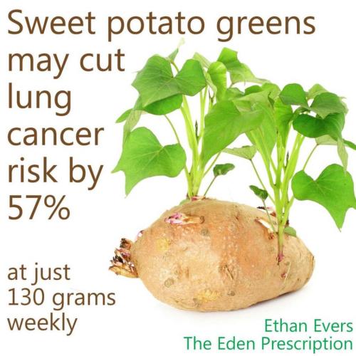 07:35:52 GMT-0600 (MDT)