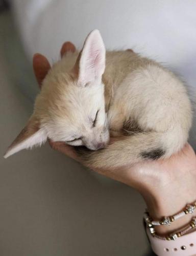 06:16:36 GMT-0500 (CDT)