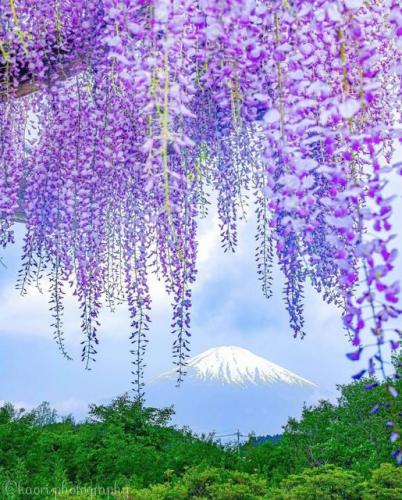 186461829_319886809507328_7827357431502214504_n