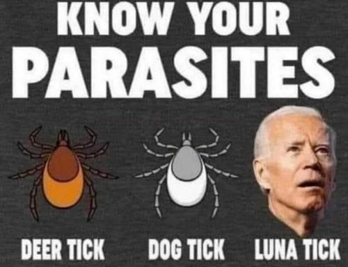 01:31:19 GMT-0500 (CDT)