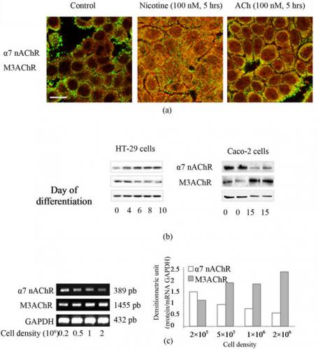 16:46:50 GMT+0100 (BST)