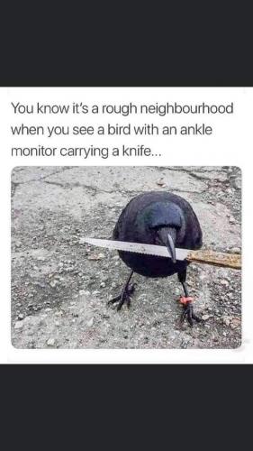 15:10:38 GMT-0500 (CDT)