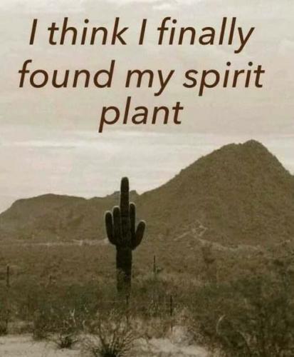 11:50:04 GMT-0400 (EDT).image