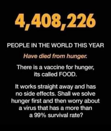 photo_2021-05-04_12-53-45