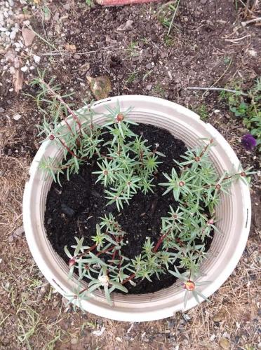 FB_IMG_1620687076679